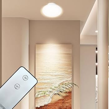 Amazon.co.jp : シーリングライト 小型 リモコン付き 2-4畳 20W形相当